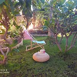 Alpesi faház Energy Garden