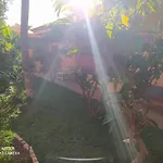 Energy Garden