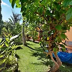 Energy Garden * Bajamar
