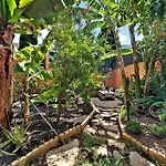 Energy Garden *