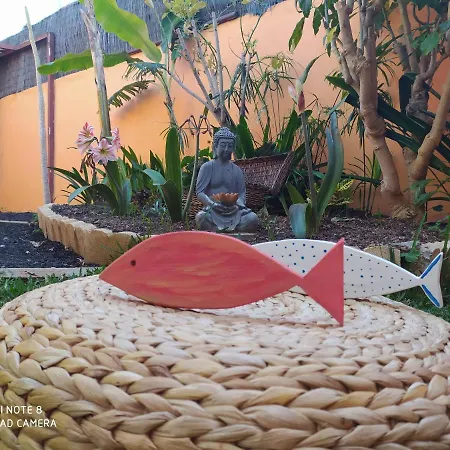 Energy Garden Chalet *