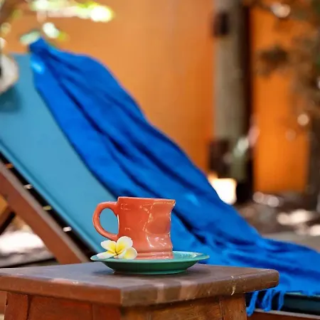 Energy Garden Chalet Bajamar (La Laguna)