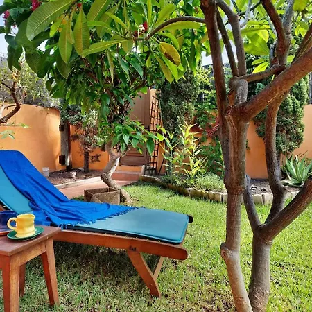 Chalet Energy Garden