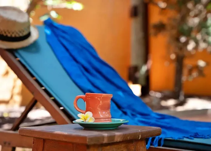 Energy Garden Chalet Bajamar (La Laguna)