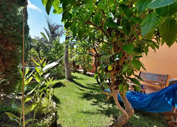 Energy Garden * Bajamar (La Laguna)