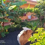 Energy Garden