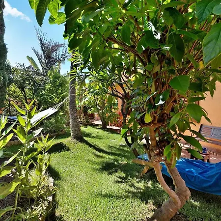 Energy Garden * Bajamar (La Laguna)