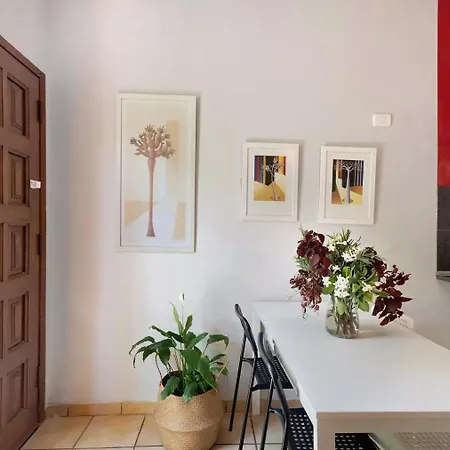 Energy Garden Bajamar (La Laguna)