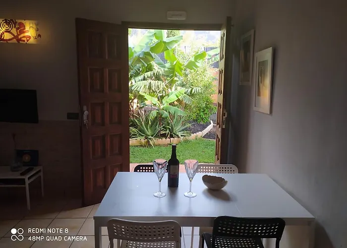 Energy Garden * Бахамар